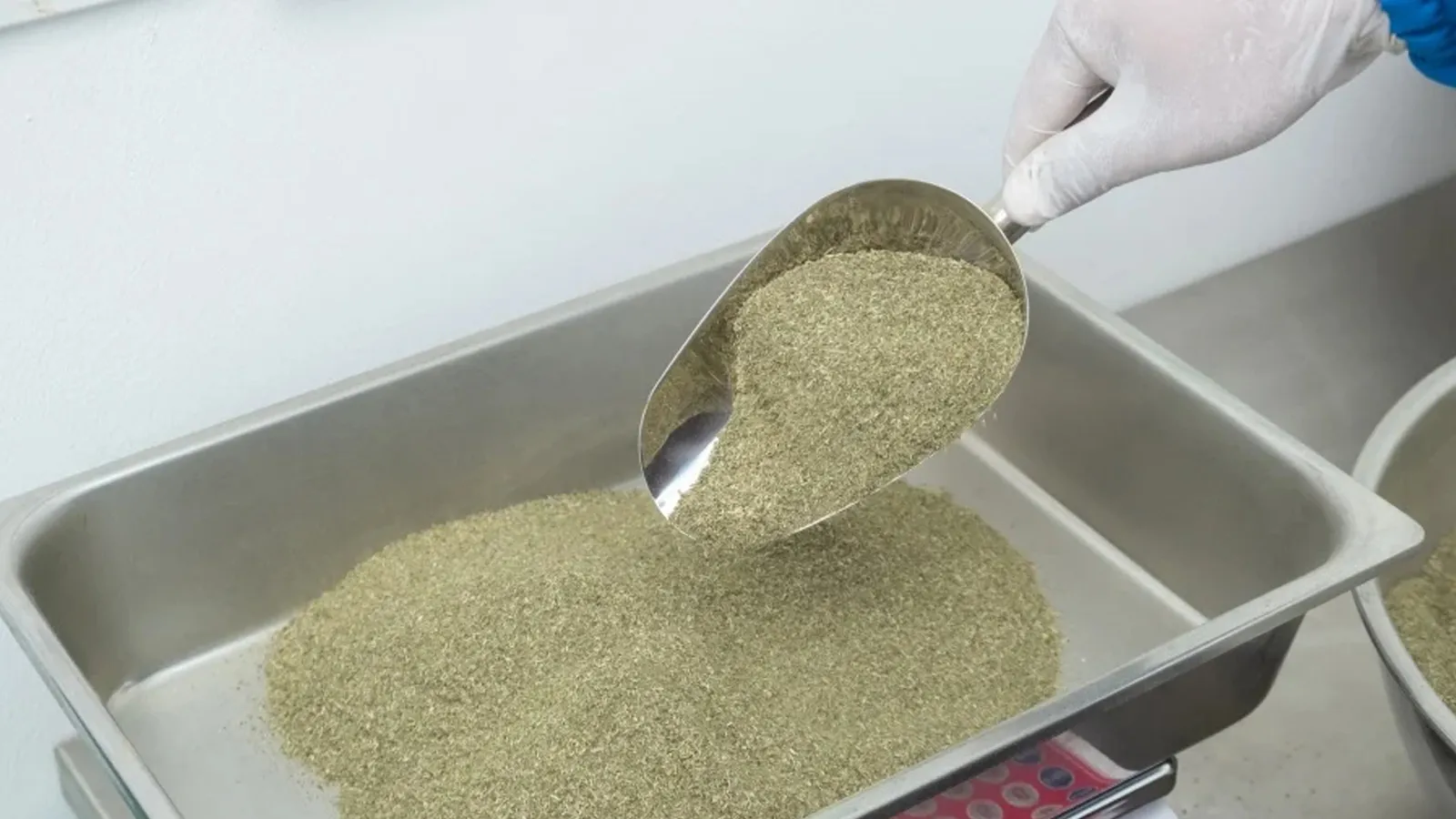 Traditional Chinese Medicine (TCM) herbal granules packaged in sachets