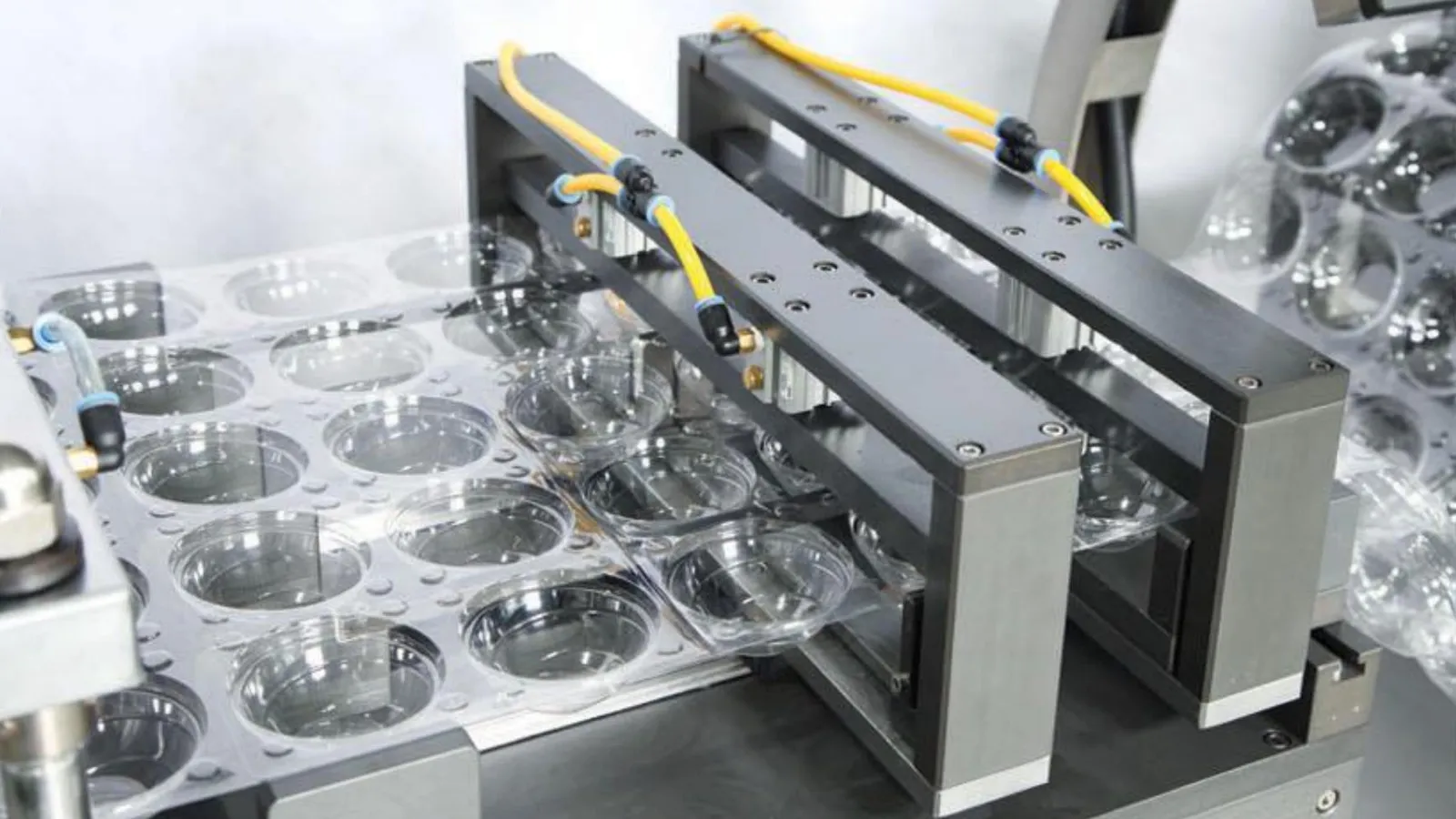 Plastic Blister Tray Packaging Machine | Manufacturer & Price Custom Materials